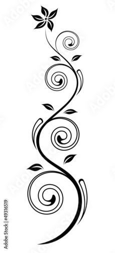 Blume