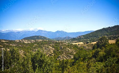 landscape from Corsica  France