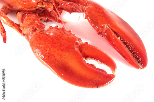 detail of lobster claws