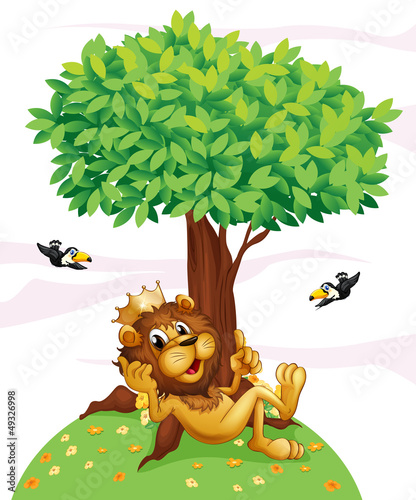 A king lion and the two birds