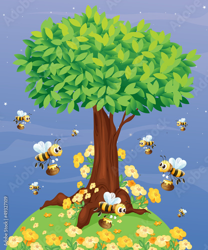 A tree with bees