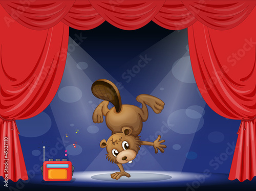 A beaver at the stage