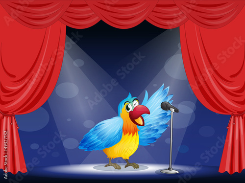 A colorful parrot at the center of the stage