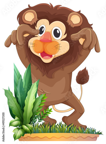 A lion