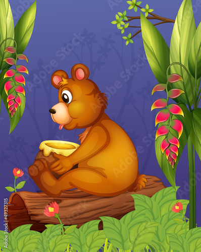 A bear sitting in a wood