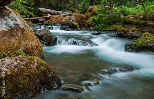 Creek in forest