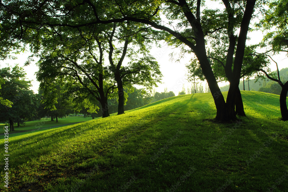 Obraz premium spring in the park