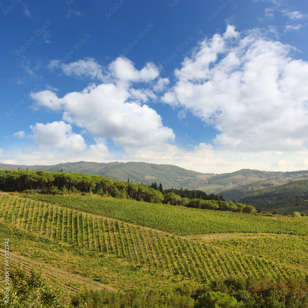 Chianti, famous vineyard in Italy
