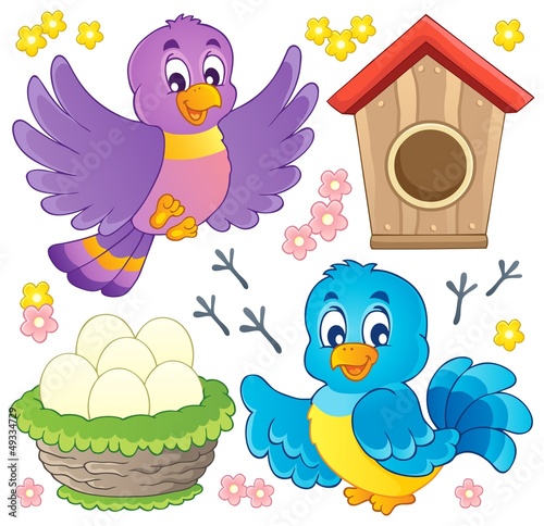 Bird theme image 9