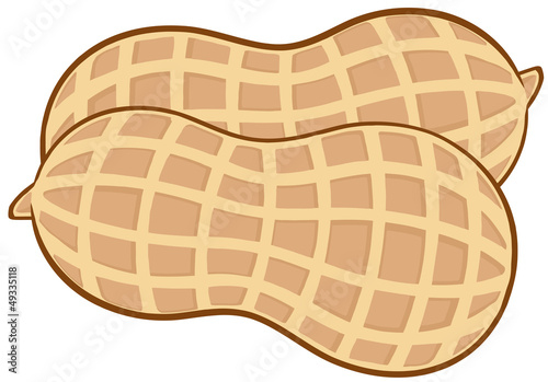 Peanuts Isolated Of White