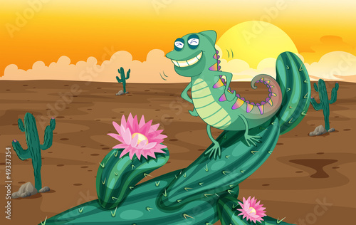 A lizard and the cactus plants
