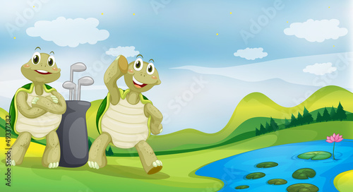 Two turtles near the river
