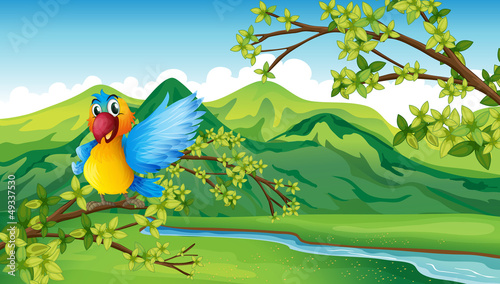 A parrot near the river