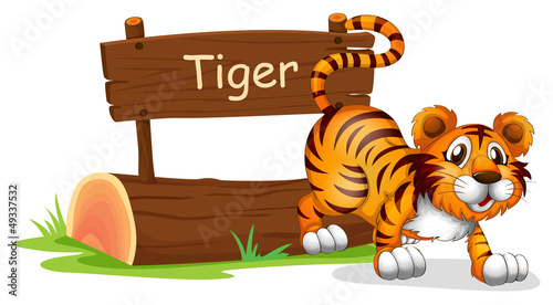 A tiger in a jumping position