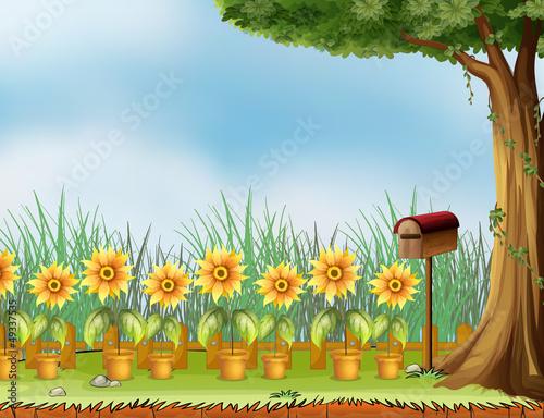 A garden with a bird's house