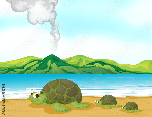 A volcano beach and turtles