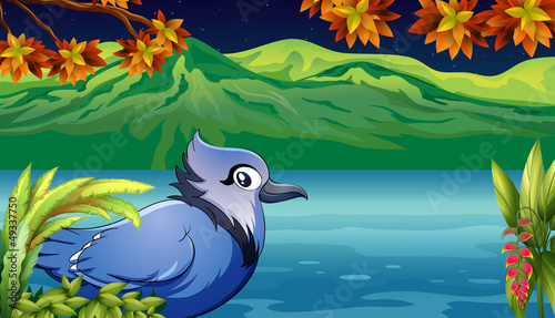 A scary bird near the river