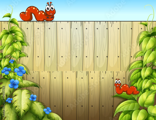 Caterpillars and a fence