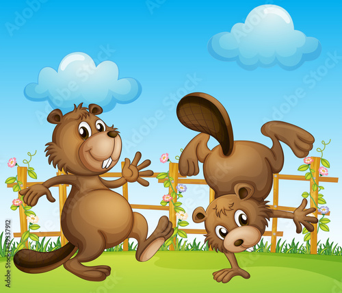 Beavers playing at the garden