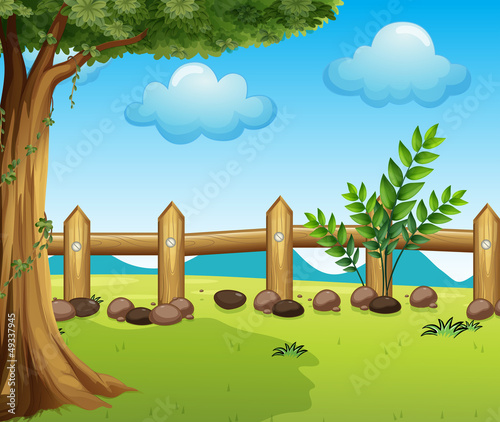 A big tree inside a fence