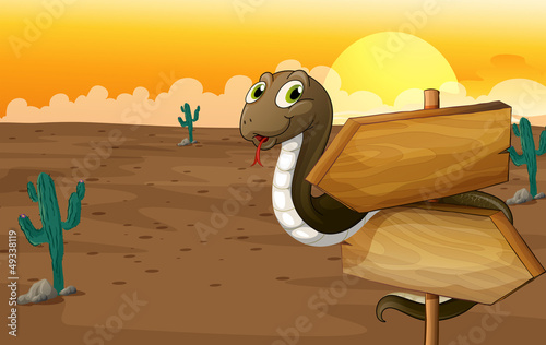 A snake and notice board