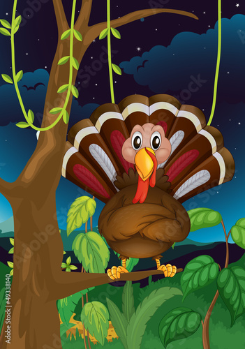 A turkey standing on a branch of a tree