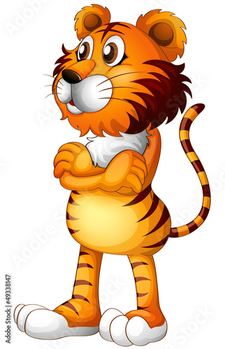 A tiger standing alone