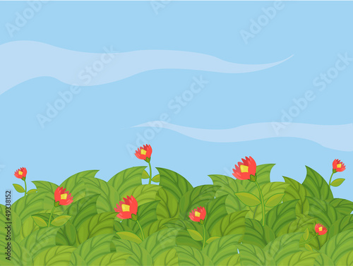 A beautiful flower plants