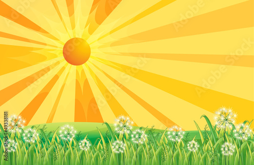 Rays of the sun