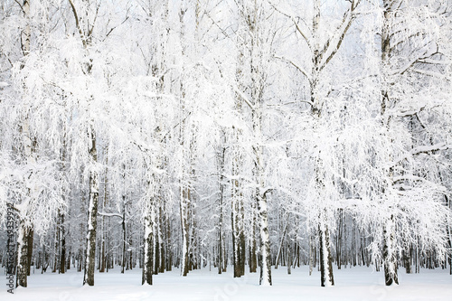 Russian winter in january