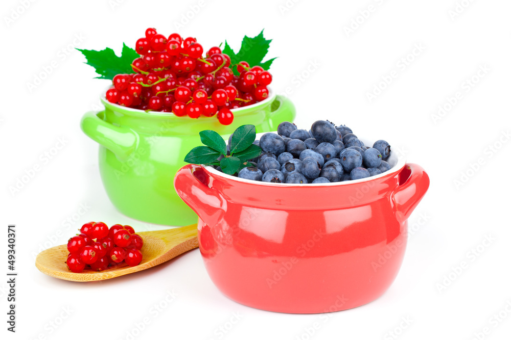 delicious red currant and blueberry, isolated on white backgroun delicious red currant and blueberry, isolated on white backgroun