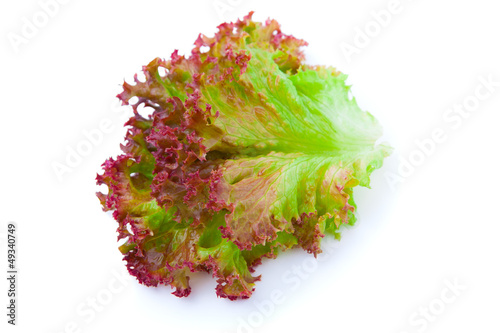 lettuce leaves on a white background.