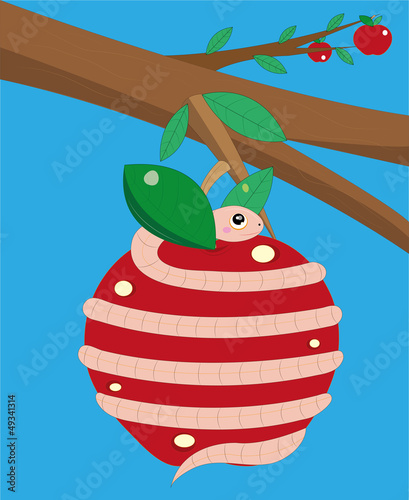The worm twists apple.
