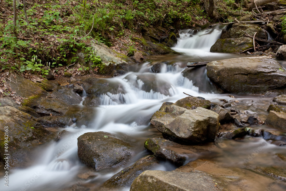 Fototapeta premium waterfall in flowing mountain stream
