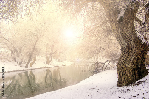 Winter landscape river Zagyva in Hungary