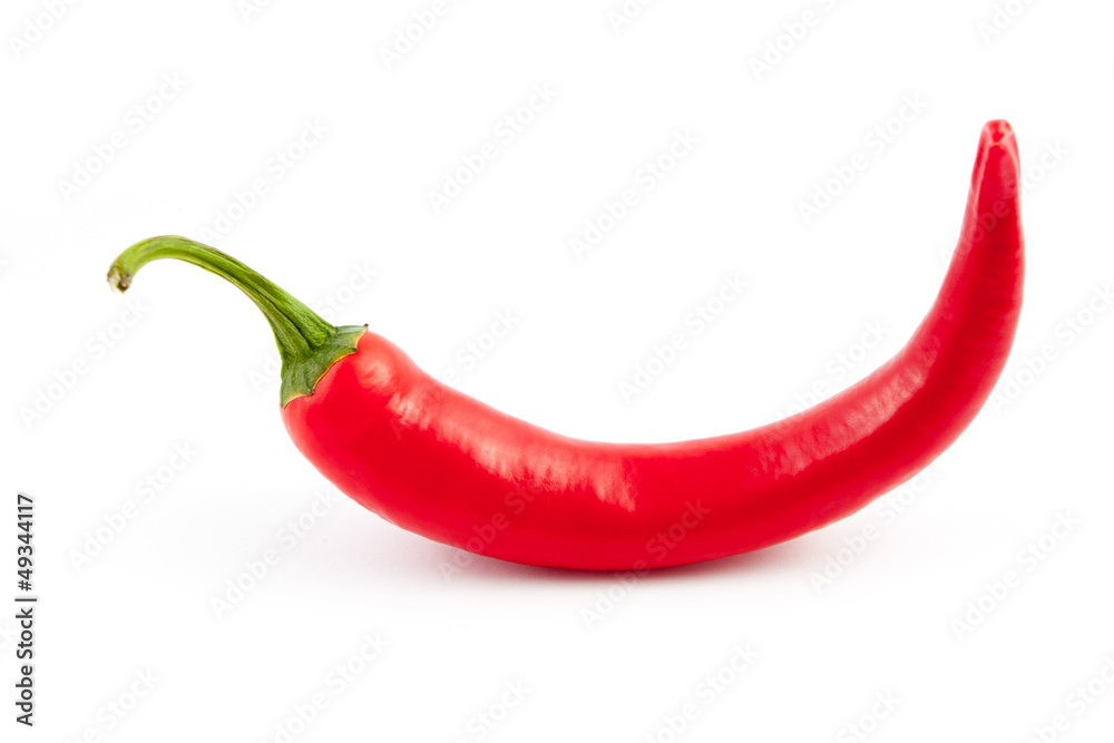 single chili single chili