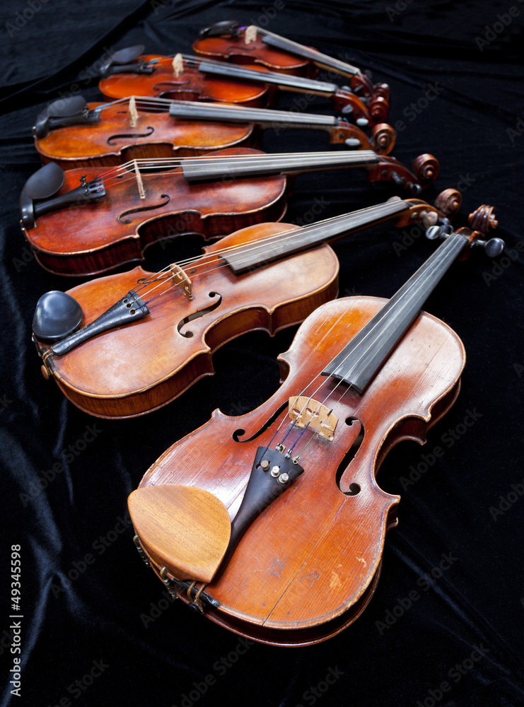 Fototapeta premium different sized fiddles on black