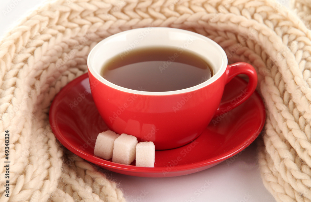 cup of tea with scarf isolated on white cup of tea with scarf isolated on white