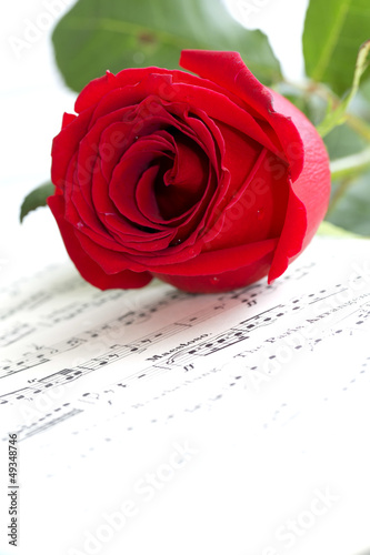 Red rose on musical score