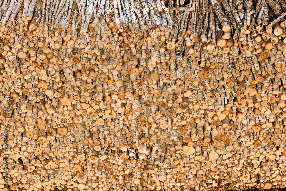 Fototapeta premium Timber resources