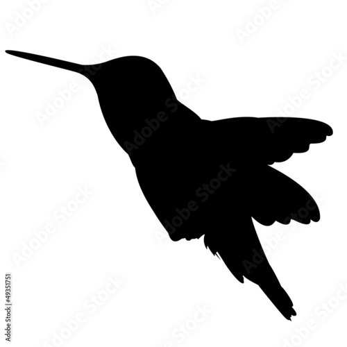 Silhouette Kolibri Vektor