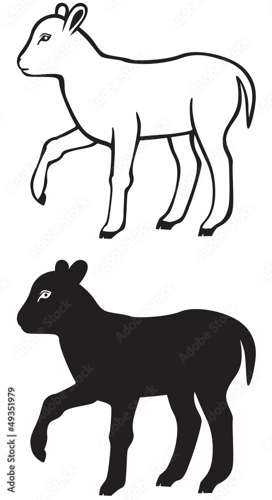 Contour and silhouette of a lamb