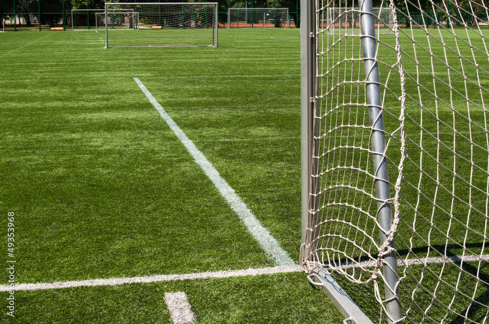 Fototapeta premium Soccer Field