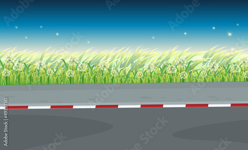 A view of the road