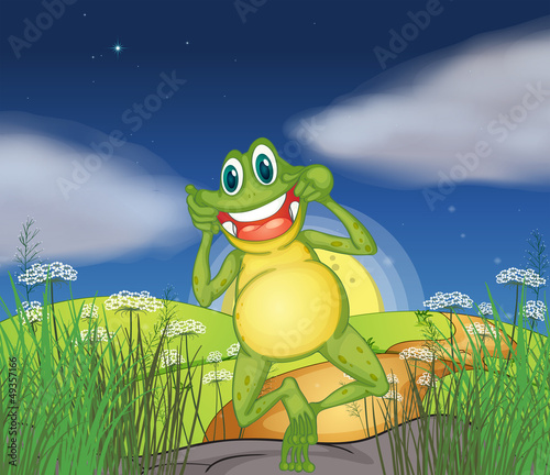 A frog in the hills
