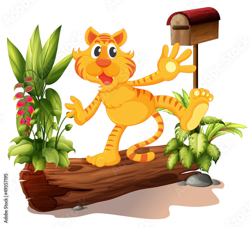 A young tiger at the garden with a mailbox