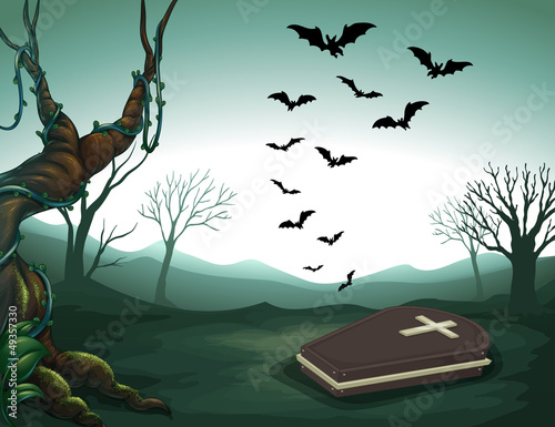 A graveyard in the forest