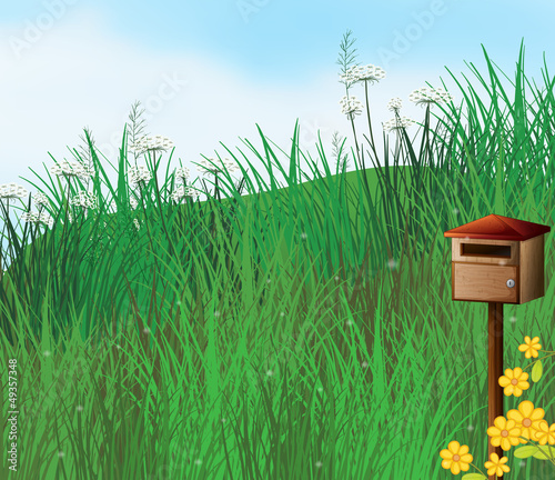 A mailbox near the hills