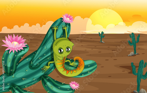 A cactus with lizard