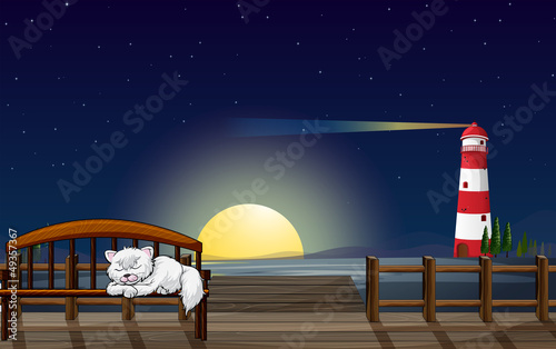 A cat sleeping in the seaport